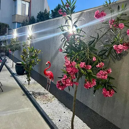 Hotel Mav
