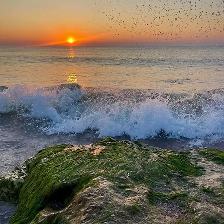 Mav 호텔 데포리노드