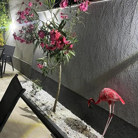 Mav Hotel
